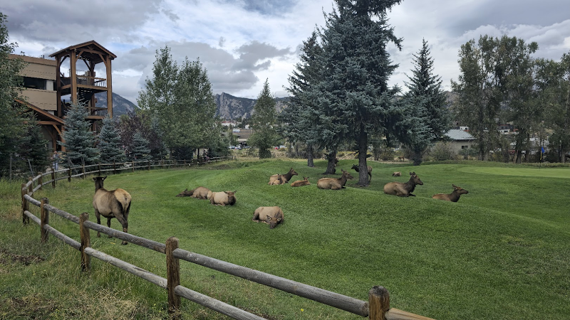 Estes Park photo 16